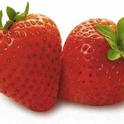 AROMAT SPOŻYWCZY W PROSZKU - truskawkowy - 5 gram